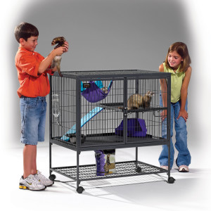 ferret nation 181 single level cage